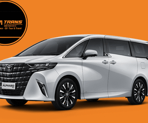 Sewa Alphard Solo